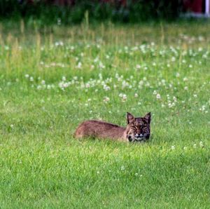 Meet your Posher, Deanna